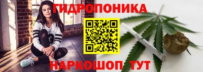 бошки Тара